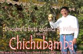 Chichubamba Poster- William (English)
