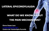 Lateral Epicondylalgia. What do we know about the pain mechanisms?