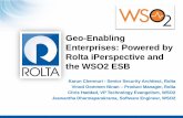 Geo Enabling Enterprises - Powered by Rolta i Perspective and the WSO2 ESB