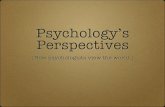 Psych Perspectives 2007