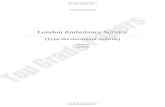 London ambulance system   academic essay assignment -