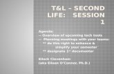 T&L - first Second Life class