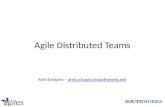 Agile distributed teams