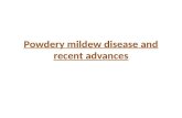 Powdery mildew disease and recent advances in indian context