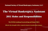 Introduction To The Virtual Bankruptcy Assistant career