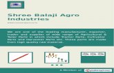 Shree balaji-agro-industries