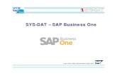 SYS-DAT for SAP Business One