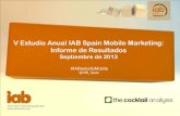 V Estudio Anual de Mobile Marketing (2013)