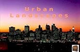 Urban Landscapes (V M )