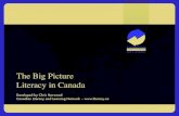 The Big Picture - Literacy in Canada