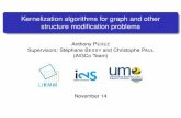 Kernelization algorithms for graph and other structure modiﬁcation problems