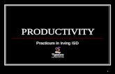 DCP Productivity Irving ISD