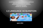 L1 language acquisition ii