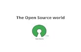 The open source world