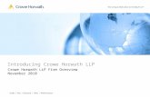 Crowe Horwath Overview 0811