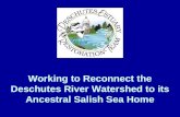 Deschutes Estuary Restoration Team presentation 4-28-11