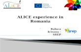 Alice experience in romania srep