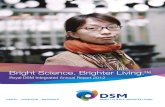 DSM: Annual Report 2012