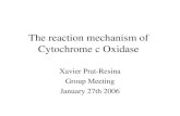 Cytochrome c Oxidase Jan06