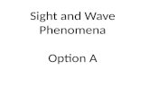Sight and wave option a review