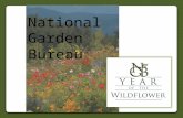 2013 NGB Year of the Wildflower