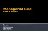 Managerial grid presentation