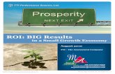 ROI Results in a Small Growth Economy