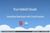 OpenStack & Cloud Foundry (OpenStack Fall 2012 Summit)