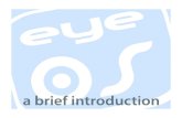 Introducing eyeOS
