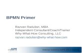 BPMN Primer (Razvan Radulian, ASPE Webinar, 2013)