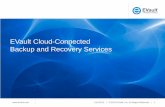 Cloud Back Up and Disaster Recovery