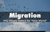 Reasons for Migration