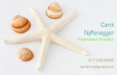 C nyffenegger 2012 portfolio 16x9 format