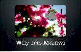 Iris malawi draft1