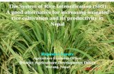 0503 The System of Rice Intensification (SRI): A Good Alternative for Increasiing Irrigated Rice Cultivation and its Productivity in Nepal