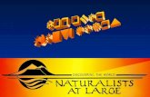 Mono Lake - Eastern Sierra: Naturalists at Large