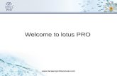 An Introduction to lotus PRO