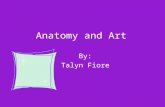 Anatomy And Art