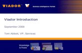 Viador Technical Overview