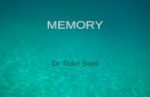 Memory theories