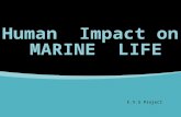 Human impact on marine  life