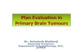 Radiotherapy plan evaluation in brain tumours