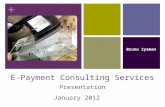 E-Payment Consulting Services