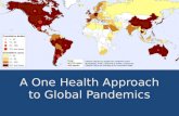 A One Health Approach to Global Pandemics