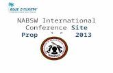 NABSW 2013 International Conference Proposal