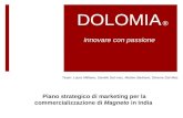 Piano di Marketing Strategico - Dolomia S.p.A.