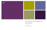 Slavery in america