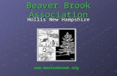 A day in the Life of Beaver Brook Nature Center