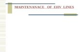 EHV Lines Maintenance