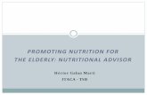 Hector Galan - OASIS Nutritional Advisor Service: a technical view